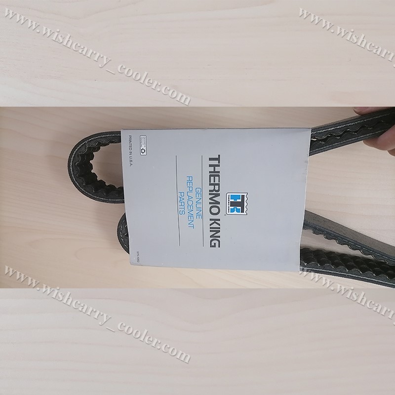 781822 Belt Thermo King Original - Motor/Jackshaft a Compressor (2/13 y después), T680P/880P/T600M/600R/800M/800R
