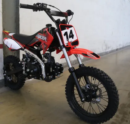 Tao Motor DB14 RED 110cc Motorcycle