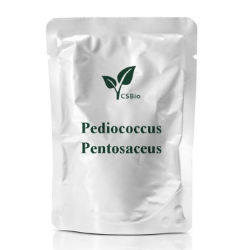 Pediococcus pentosacesus의 프로바이오틱스 분말