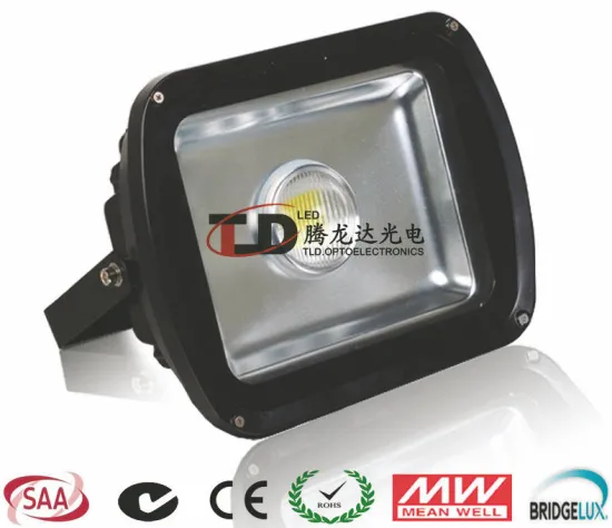 Epistar Rgb Outdoor Led Flood Lights 40w - 60w For Exhibition Building