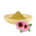 Chicoric Acid Echinacea Purpurea Extract Powder