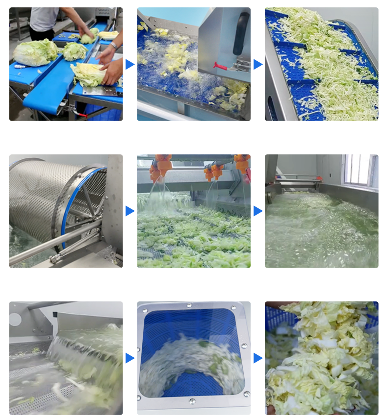 vegetable processing vegetable processing