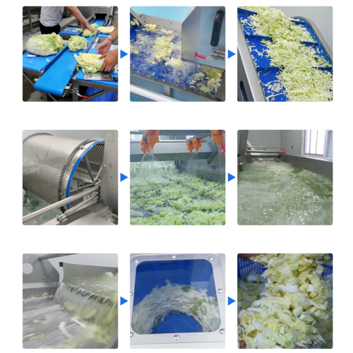 Fruit And Vegetable Processing Parsley Spinach Salad Production Line Processing Solution Manufactory