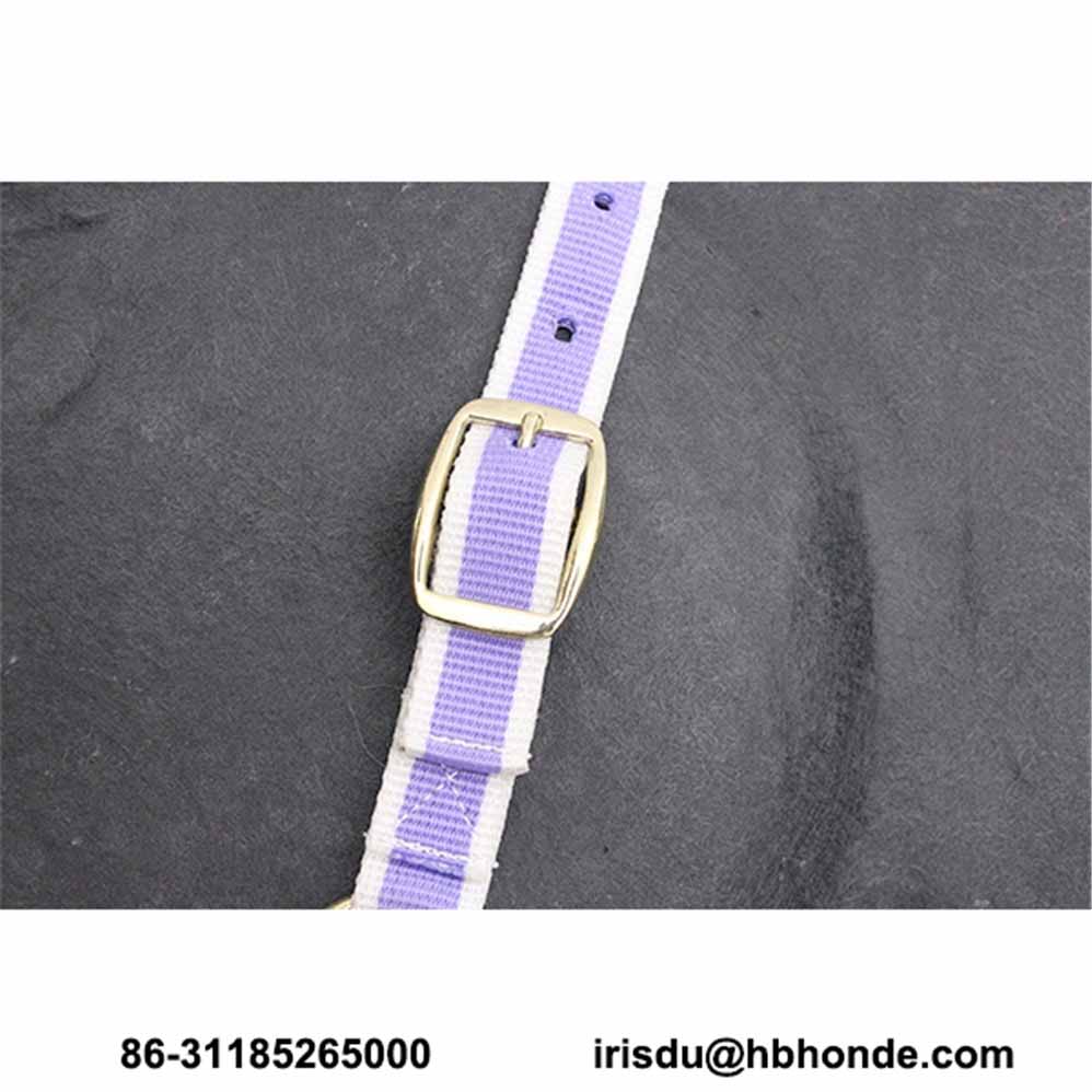 Purple Webbing Customized Size Horse Halter