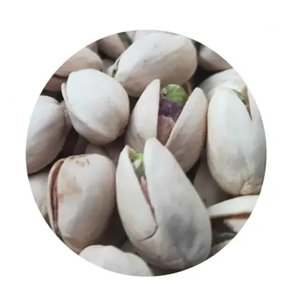 GEKO Food Factory - Wholesale Natural Pistachios with Rich Flavor and Nutrition