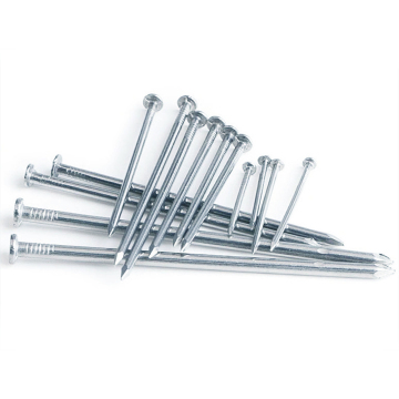 High Quality Steel Common Nails & Concrete Nails