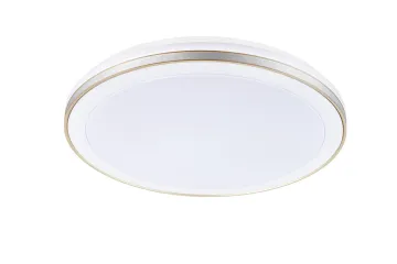 LED decorative ceiling light