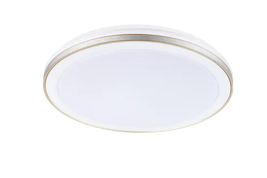 LED decorative ceiling light