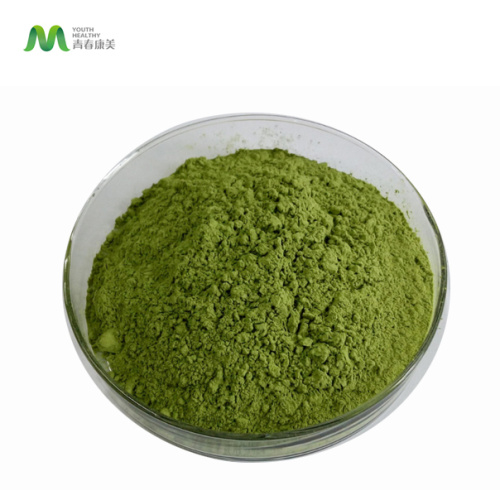 Matcha Green Tea Powder Matcha Green Tea Powder Ceremonial Grade Factory