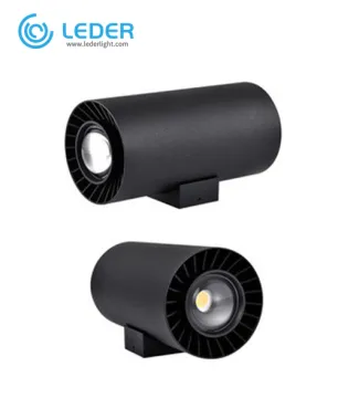 LEDER Black Track Feature LED Outdoor Wall Light