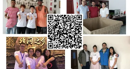 Poultry Quail Equipment: Layer Quail Cage with Automatic Feeder