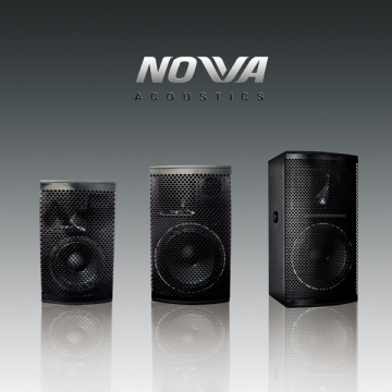 Professional Speaker, Professional Loudspeaker, PRO Audio Professional Speaker (PL-12)