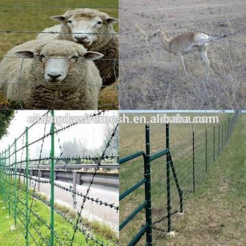 Hot sale High quality low carbon steel barbed wire with beautiful design