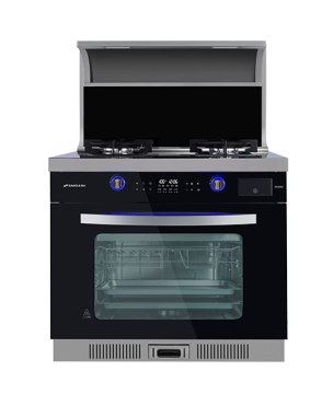 Super High End Integrated Gas Range