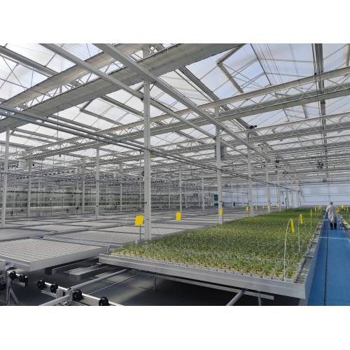 Seedling Raising Glass Greenhouse