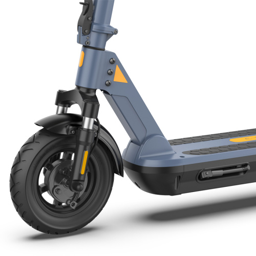 Scooters électriques pliables 36V 350W