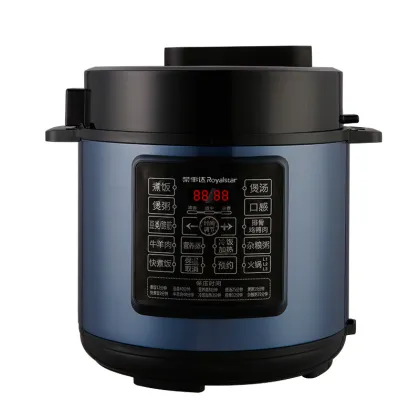 Dual Pot Electric Pressure Cooker