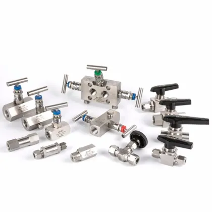 JAZZY Monoflange Valve Instrument Valve Swagelok Needle/Stainless Steel/Ball/Check/Globe Valve" 

However, for better search engine optimization and readability, consider simplifying it to:

"Swagelok Valve Series: Needle, Stainless Steel, Ball, Check, Gl