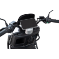 electric cruiser motorcycle with high-capacity
