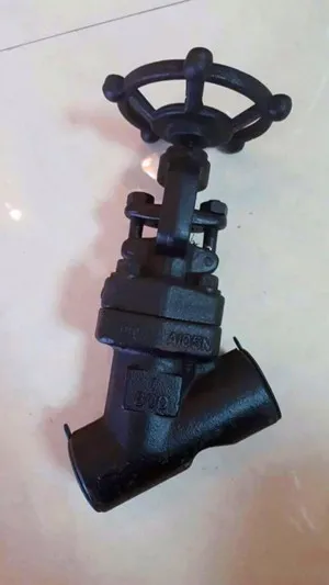 API 602 Y Type Globe Valve, 1 Inch, 900 LB