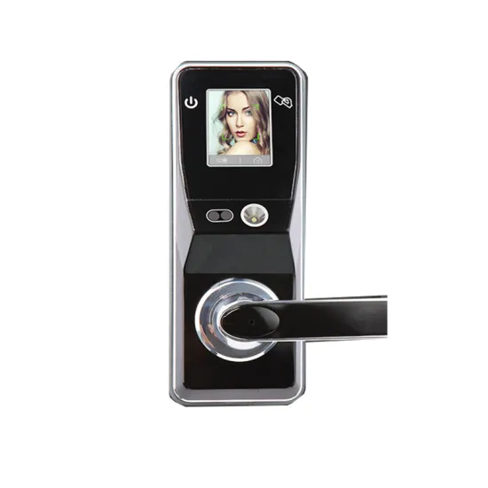 US standard password fingerprint lock
