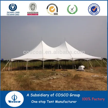 Peg n Pole marquee for event party