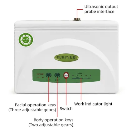 Double head ultrasonic beauty device