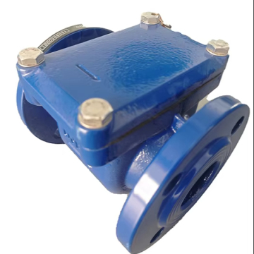 Iron Body Younio PN16 Flange Filter