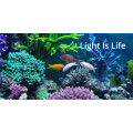 Luz de acuario Full Spectrum LED con carcasa de hierro