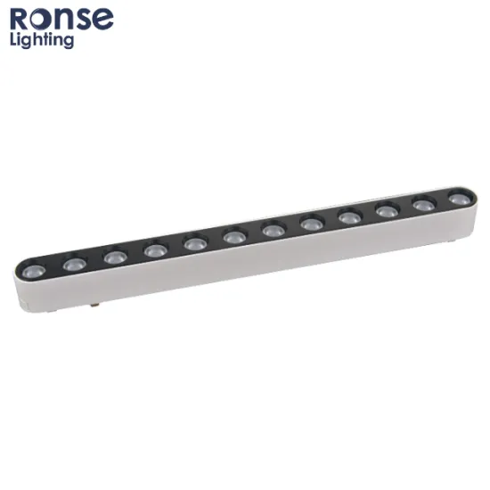 Modern Recessed Ronse Led Magnetic Track Light Grille Flood Lamp 48V