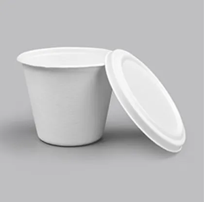 Disposable Tableware