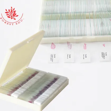Pathological Slides Set for Higher Education - FRT2002
