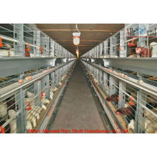 China supplier battery cages for layer