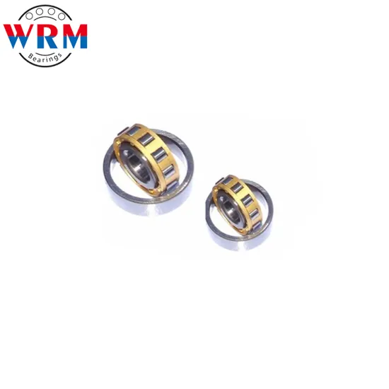 Large lead competitive price cylindrical roller bearings N1010 for gas turbines