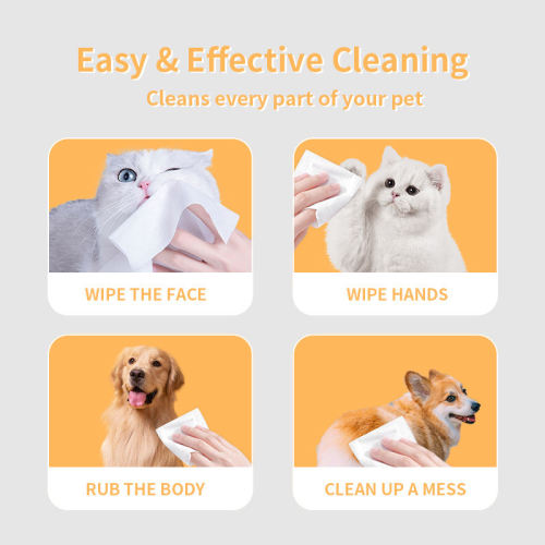 Khăn lau thú cưng tùy chỉnh - khăn lau wzsiding