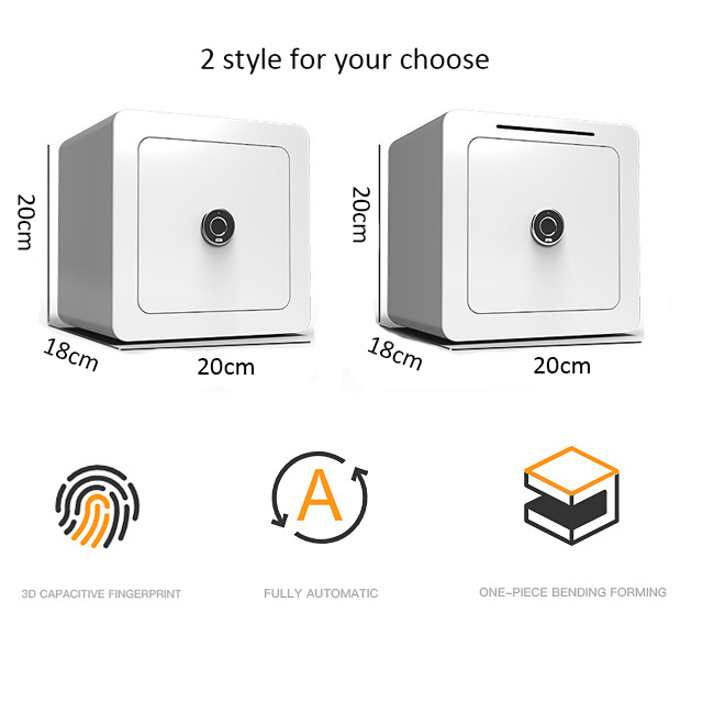 Fingerprint Steel Safe