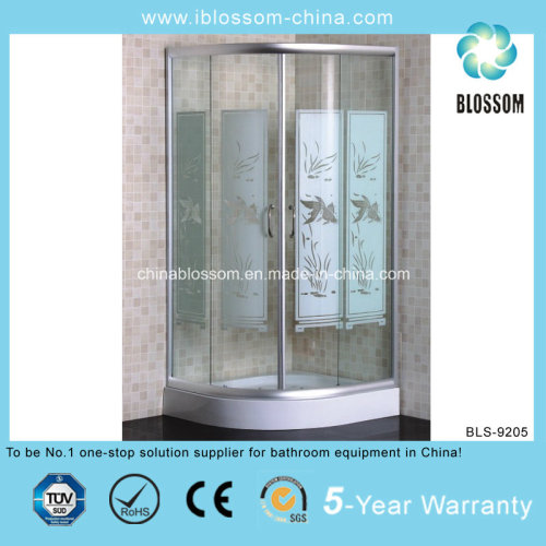 Satin Finish Aluminum Profile Bathroom Simple Shower Room (BLS-9205)