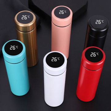 500ml LED Temperature Display Vacuum Insulated Thermos Bottle with Tea Infuser