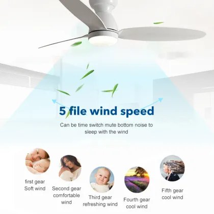 Top Selling Modern LED Ceiling Fan with Remote Control and Light