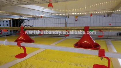 poultry farm broiler rooster cage