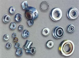 Special Bearing 