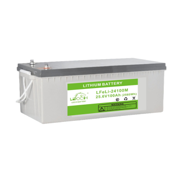 Leoch Lithium Iron Battery - Large Capacity High Quality Backup Power Supply