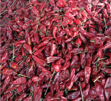 9000 SHU chili powder