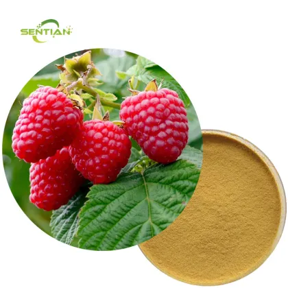 Raspberry Extract Raspberry Powder