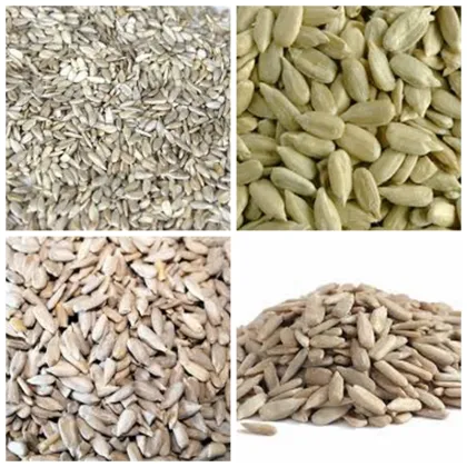 sunflower kernels chinese sunflower kernels oil BakeryType sunflower kernels