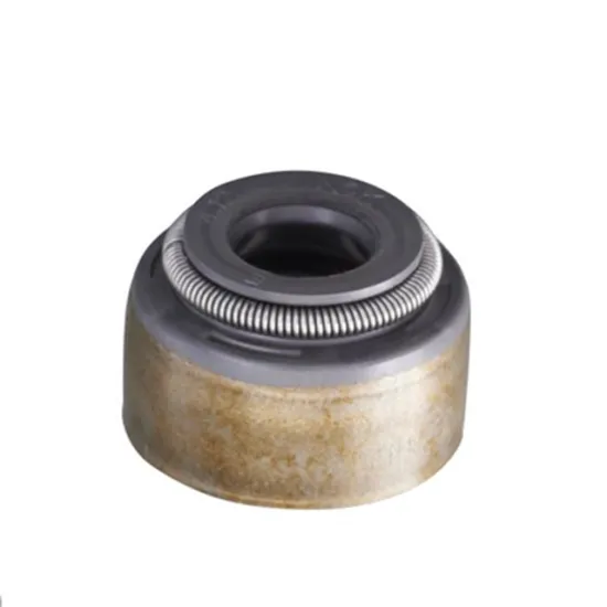 Intake and Exhaust Valve Oil Seals 13207AA110 +13211AA100 for Subaru Forester FB20 FB25 (2005-2020)