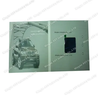 MP4 Player Brochure Advertising Player Advertising Player