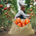 ハルティカルチュラル野菜保管バッグ