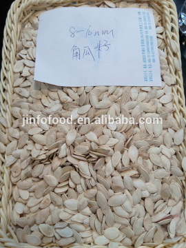 8-10mm Shine skin pumpkin seeds