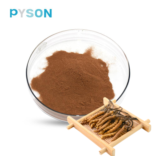 สารสกัดจากสมุนไพรธรรมชาติ Cordyceps Mycelium Powder